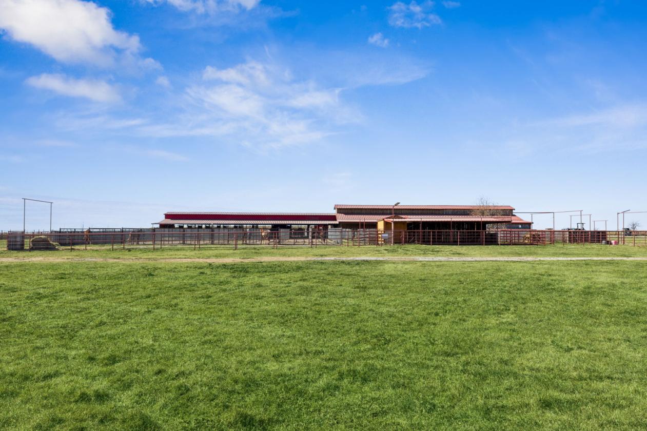 Premier Equestrian Facilities - photo 13
