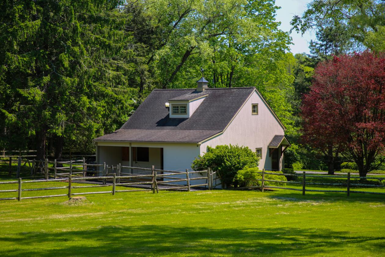 Little Fox Farm - photo 5