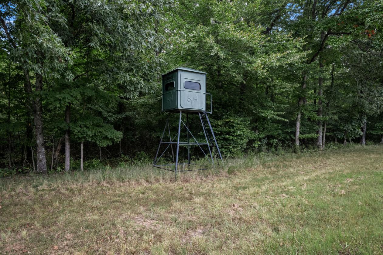Trail Riding Dreams and privacy galore!! - photo 20