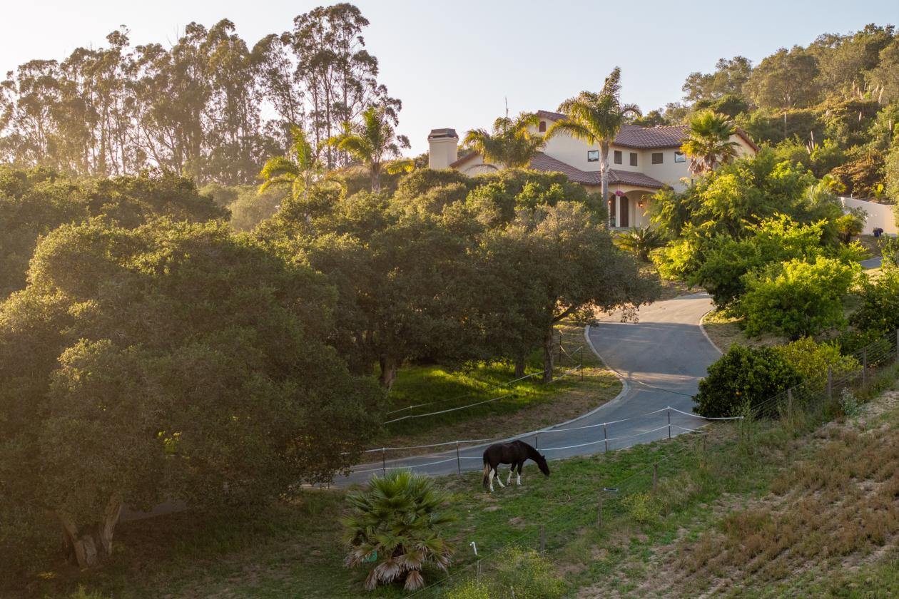 5 Acre Horse Property & Ocean Views - photo 27