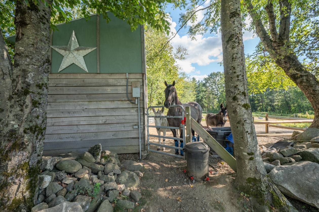 Horse Property for sale.