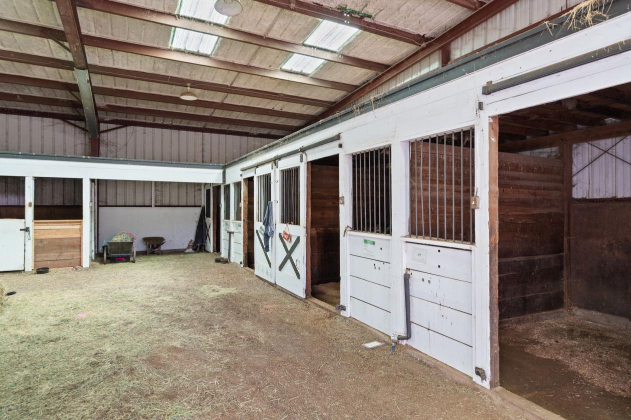 72 Acre Equestrian Estate - photo 22