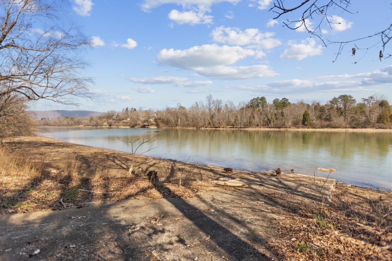 Rare East TN 36 acre farm on the Emory River - photo 24