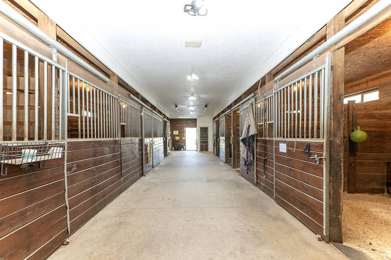 Modern Equestrian w/Indoor & Outdoor Riding Arenas - photo 24