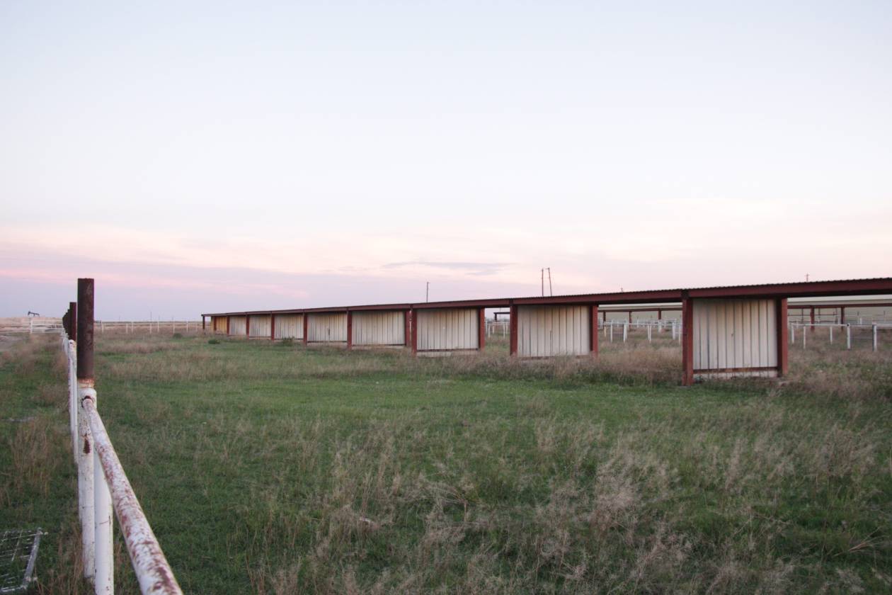 Residential Ranch Property/Horse Farm in West Texas Odessa, Ector