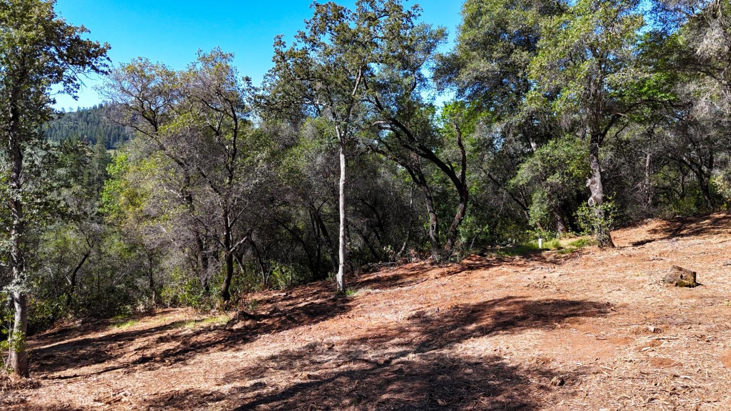Your 5 Acre Sanctuary in Equestrian Community - photo 11