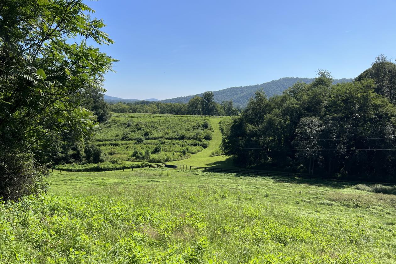 Fox Hill - in Virginia's Hunt Country - photo 2