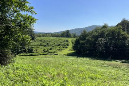 Property image.