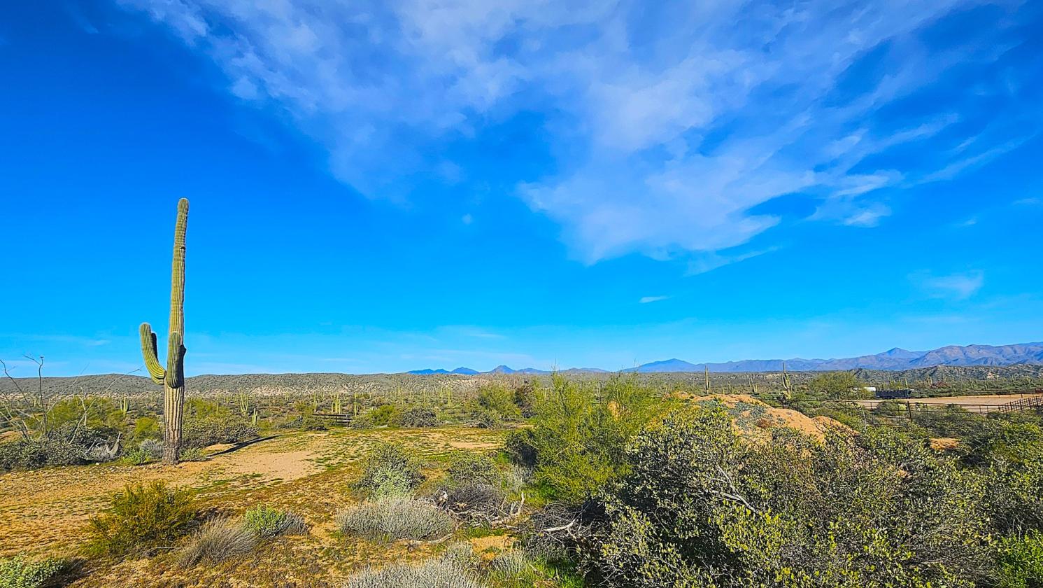 ACREAGE- NATIONAL FOREST FRONTAGE, PRIVATE WELL - photo 17