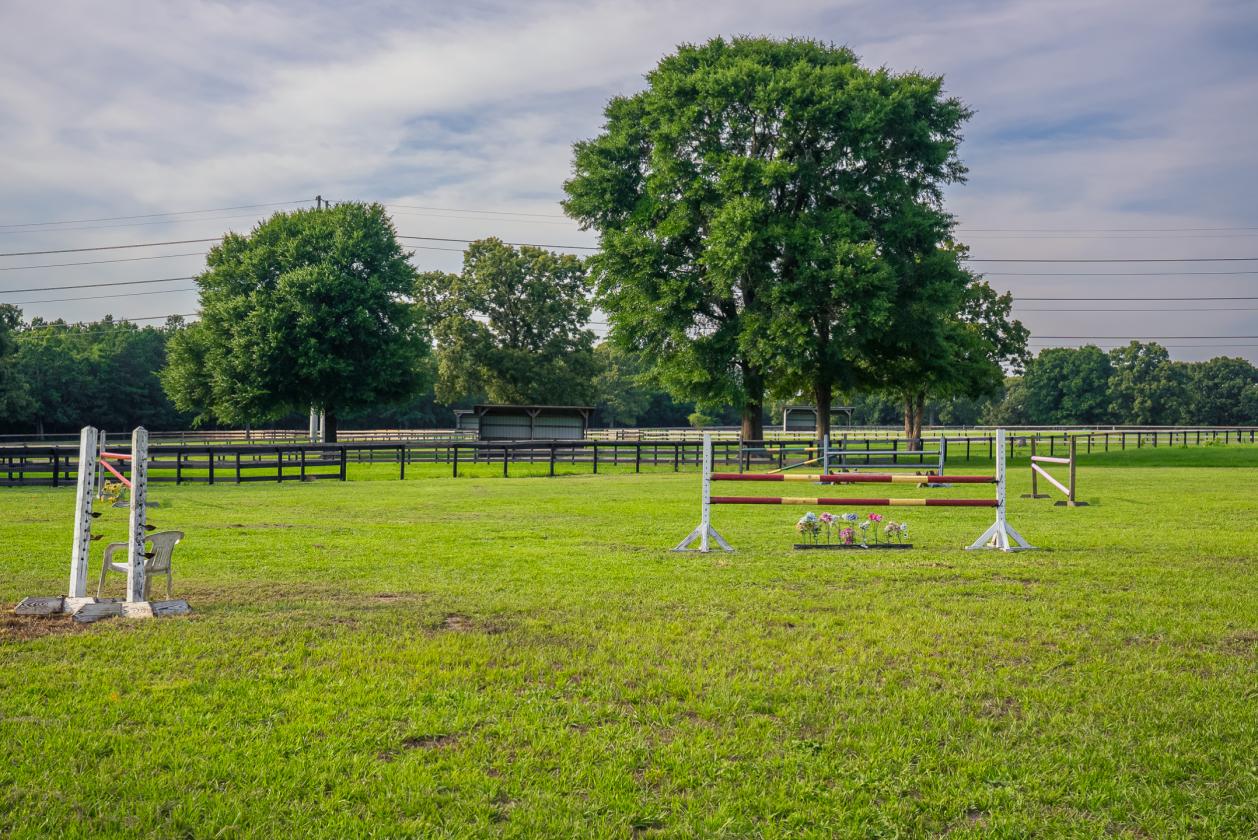 Oak Haven Farm - 302 Equestrian Corridor - photo 27