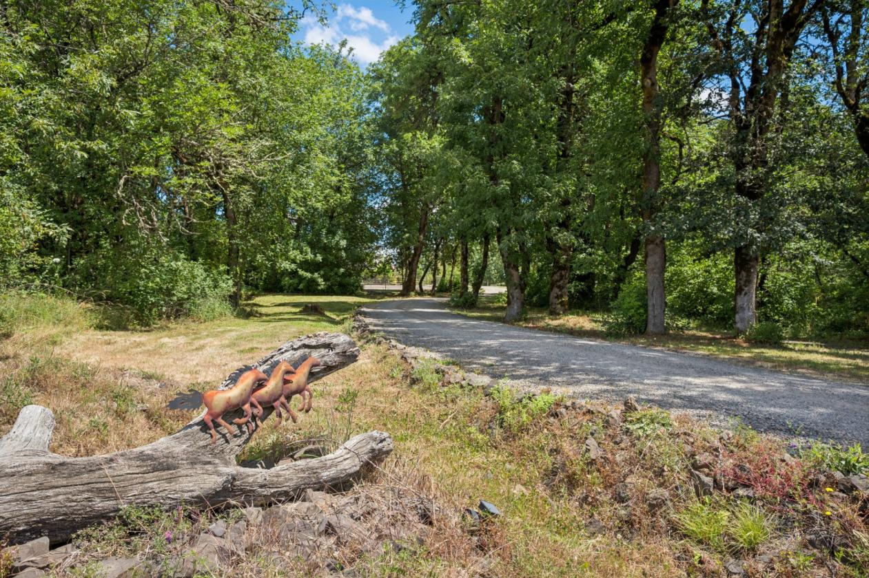 Boutique Equestrian Estate — Turnkey Move-In Ready - photo 16