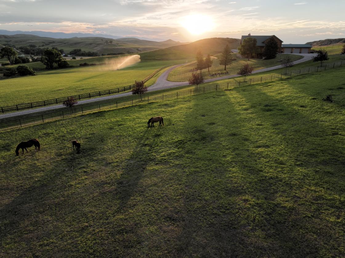 Rocknhat Horse Ranchette - photo 3