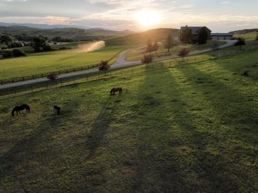 Property image.