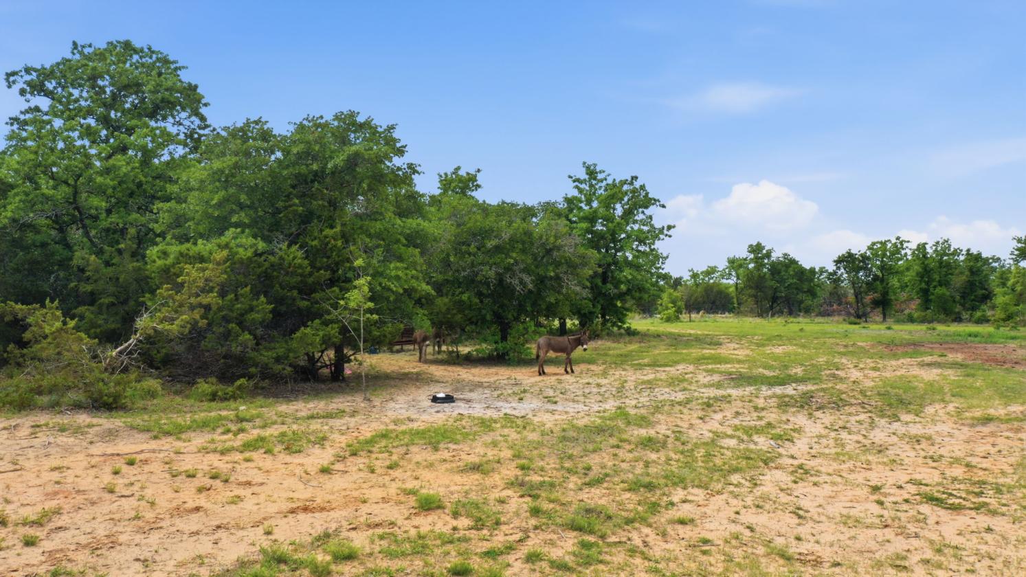 12-Acre Ag-Exempt Property - photo 21