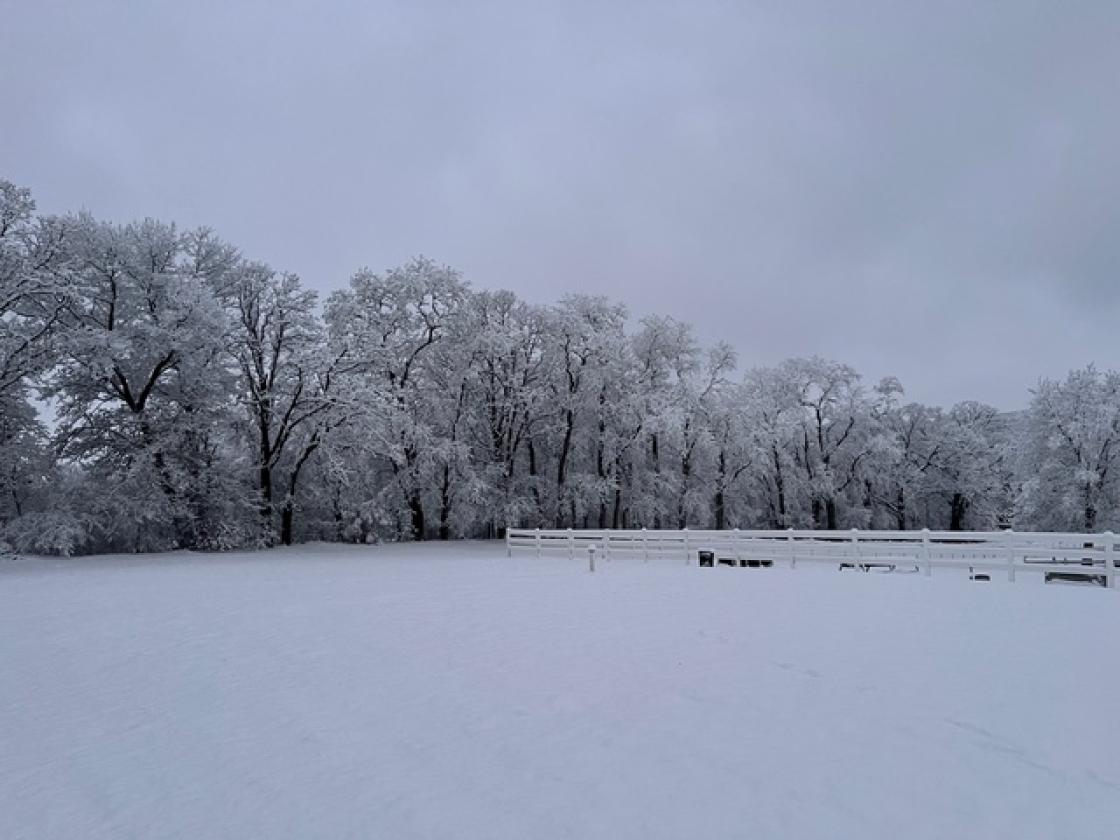 Executive Equestrian center - photo 14