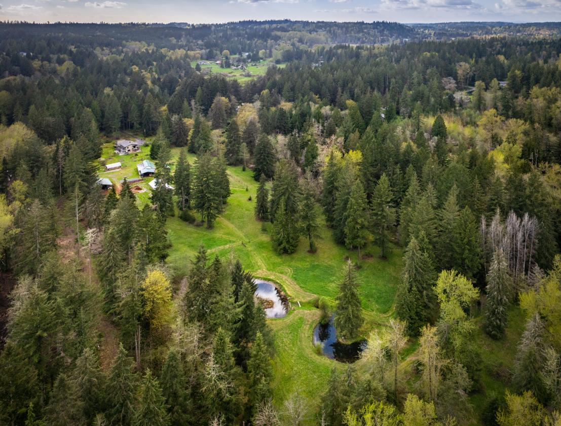 10.5 ACRES | PASTURE | PRIVACY - photo 30