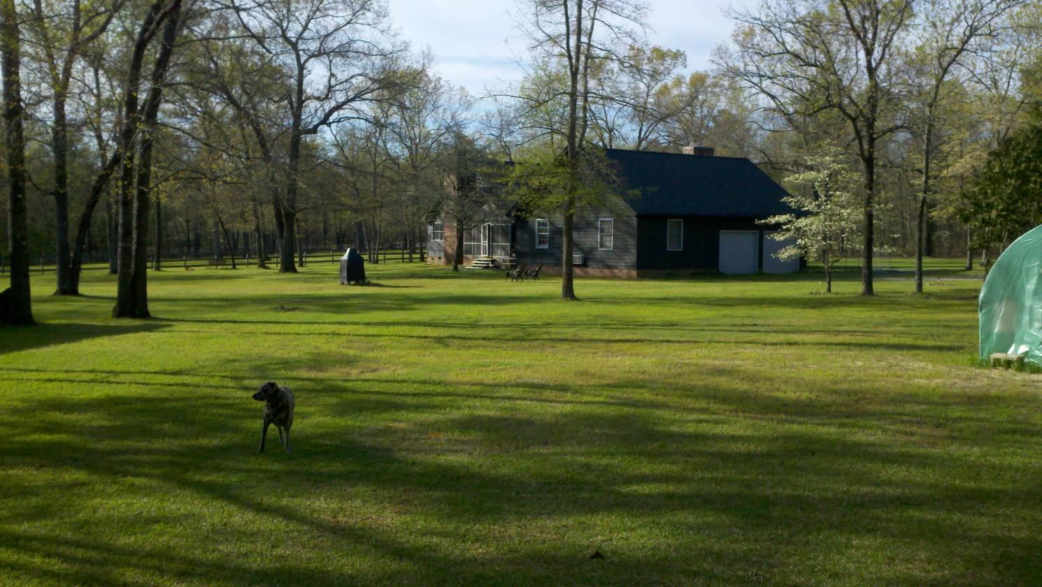 BEAUTIFUL 10.5 ACRE HORSE FARM FOR SALE Laurinburg, Scotland County