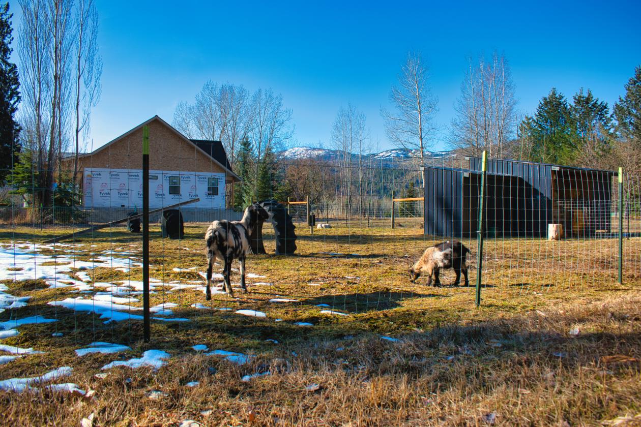 New Luxury equestrian estate with 360 degree views - photo 14