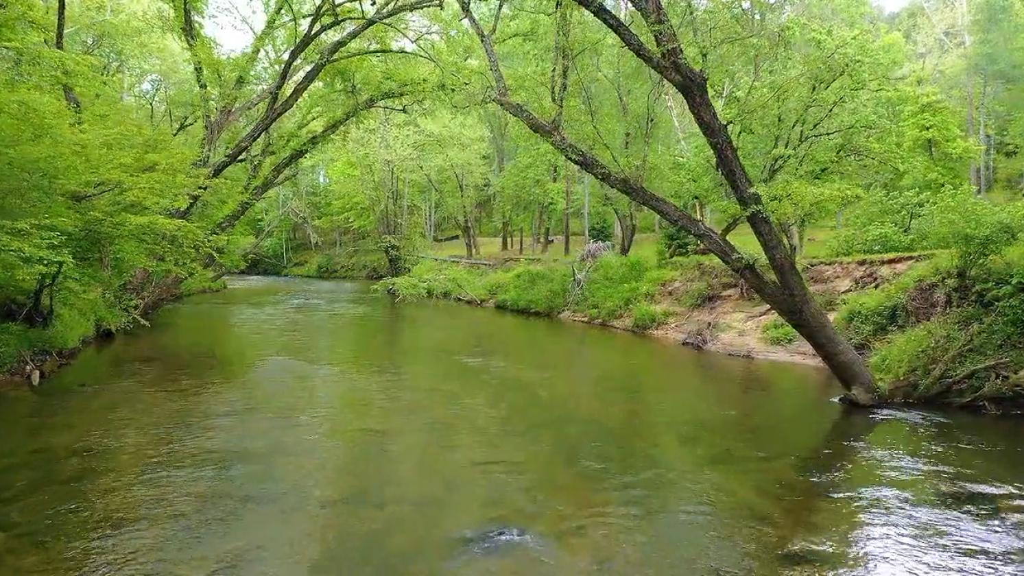Riverfront- 12 ac at The Coves Mtn RIver Club - photo 1