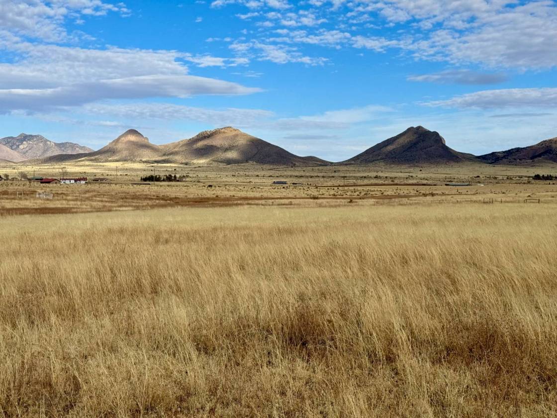 Horse Property for sale.