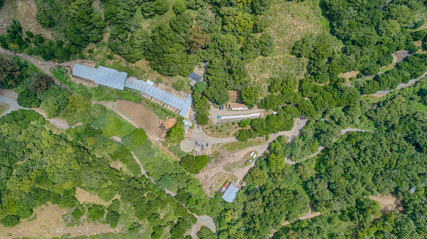 California Bay Area's well known Horse Ranch, Hideway Ranch for