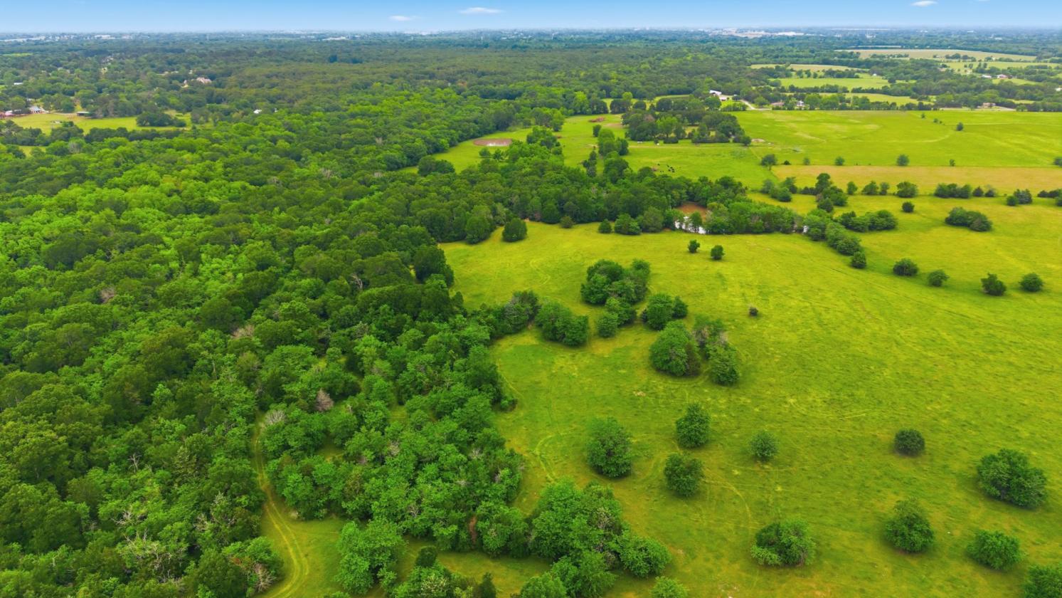 194 ACRE BREATHTAKING RANCH - photo 13
