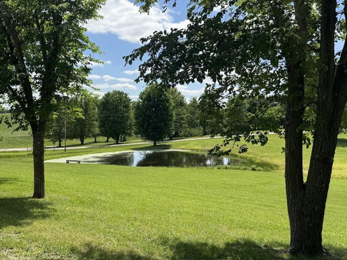 Immaculate property - photo 21