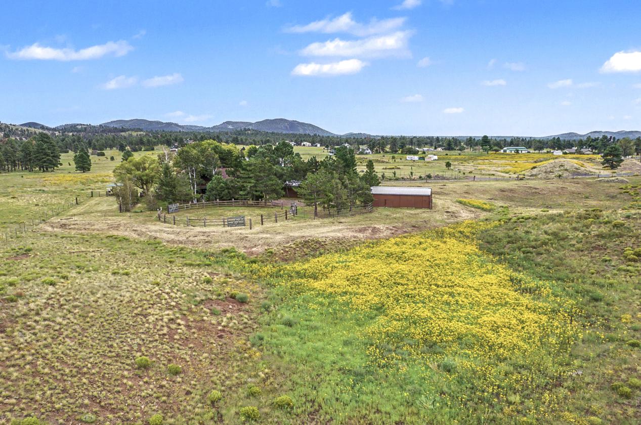 Horse Property on Nearly 4 Acres - photo 17