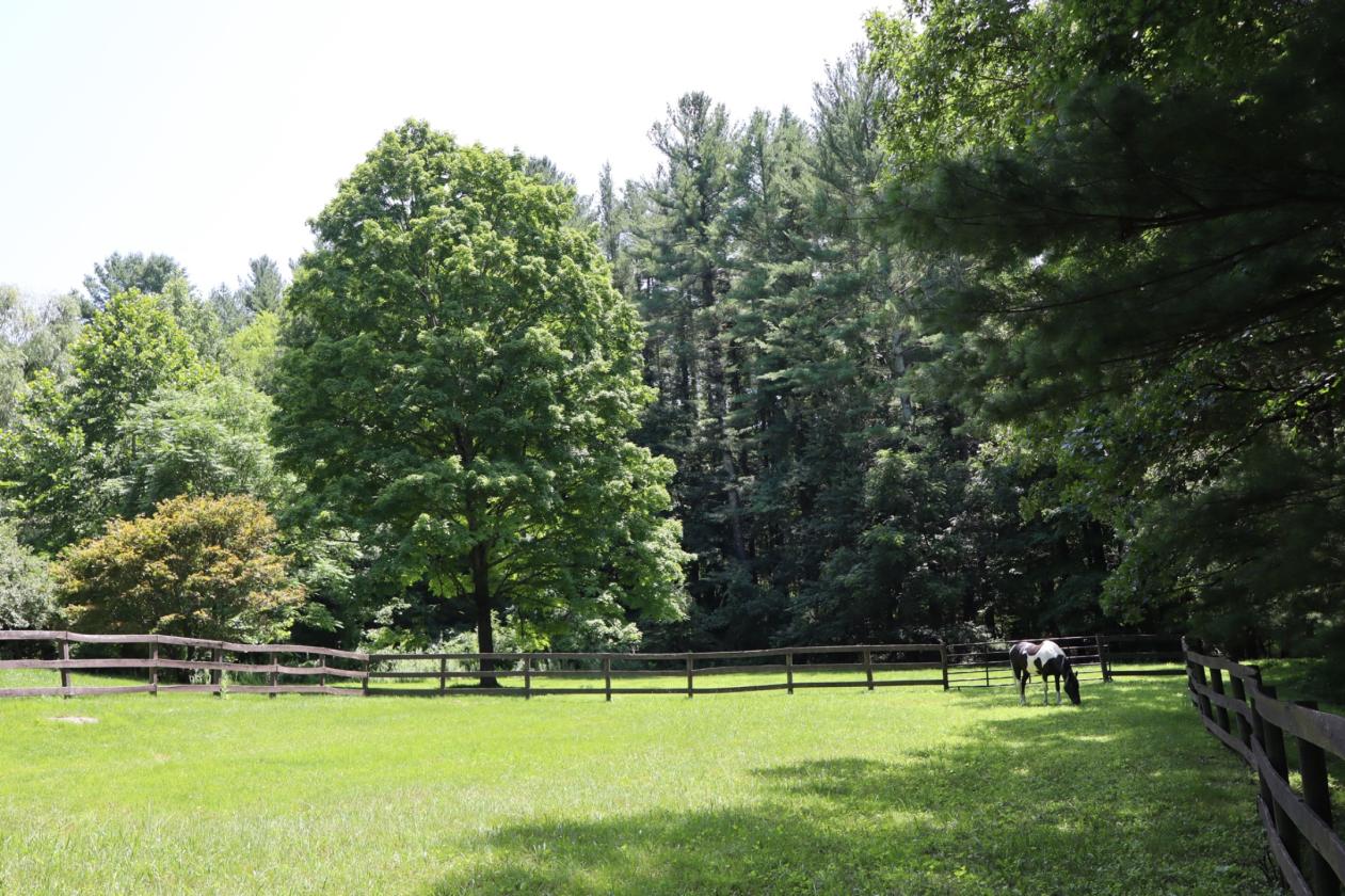 Horse property renovated home gorgeous river views - photo 19