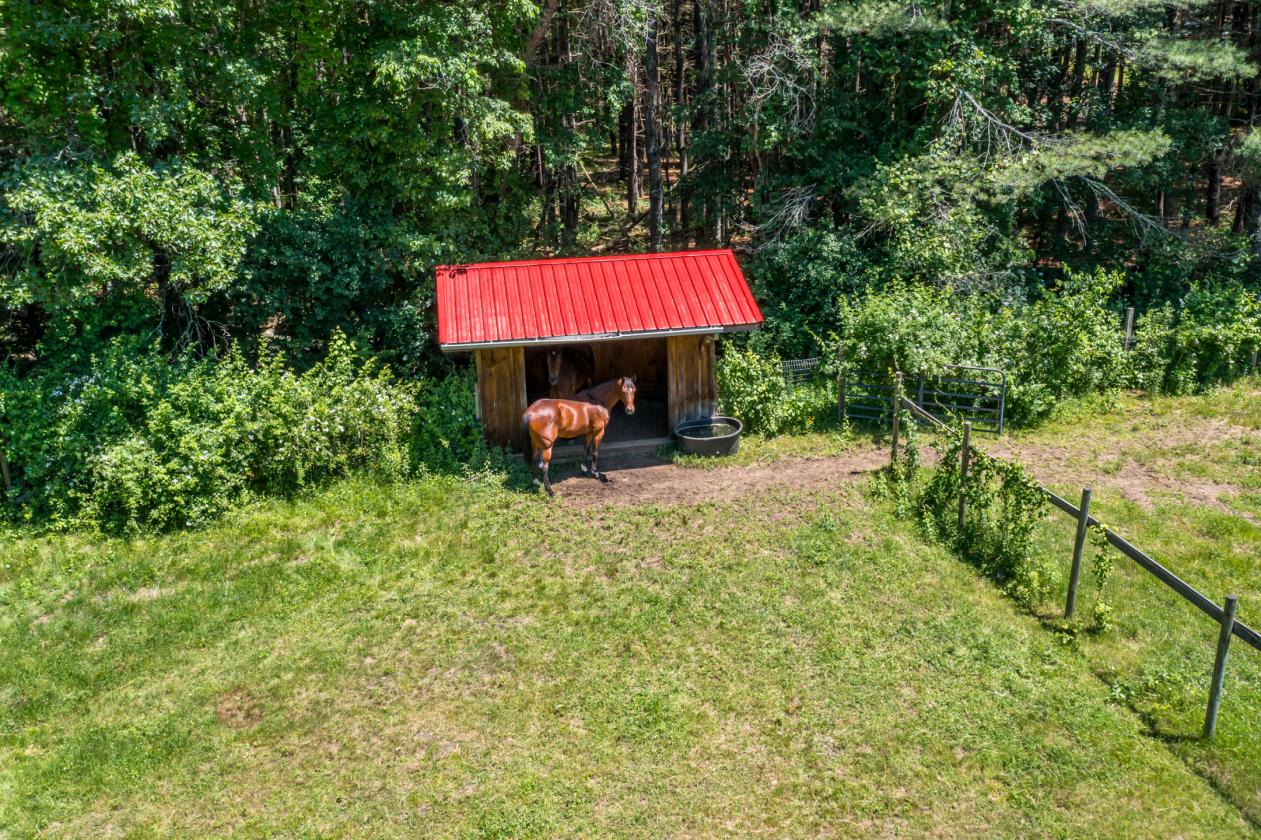 75-Acre Elite Equestrian & Wellness Sanctuary - photo 29