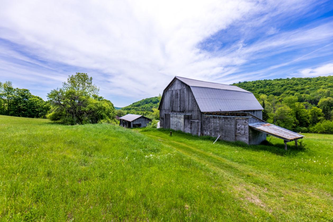 Equestrian Paradise in Picturesque Strafford - photo 13