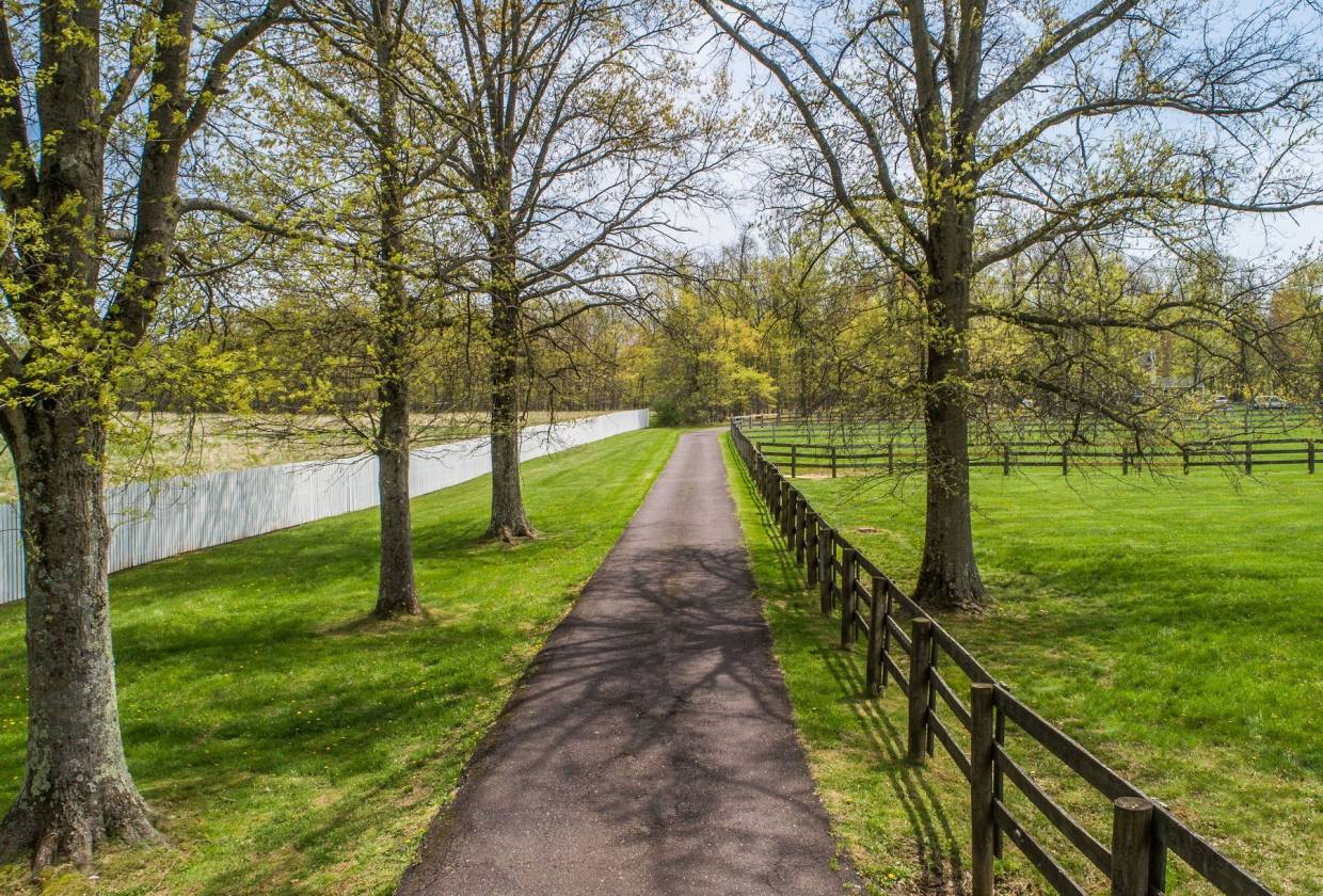 Horse Property for sale.