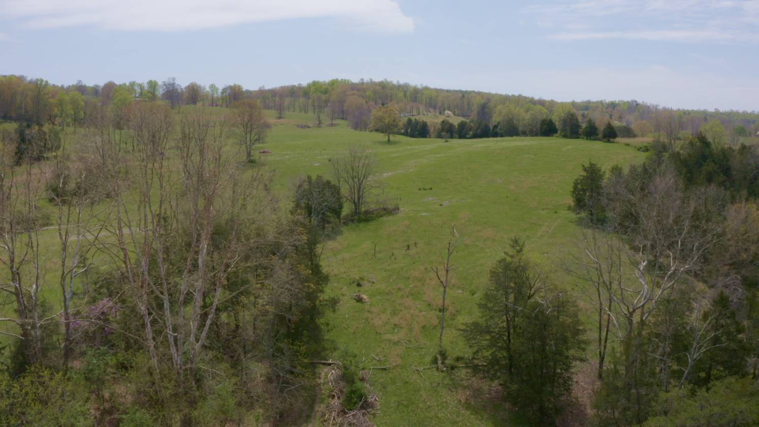 111 Acre Southwest Virginia Gentleman's Farm for sale in Ewing