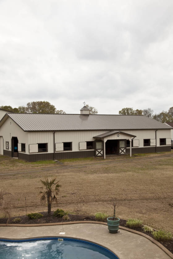 Beautiful horse and cattle ranch El Paso, White County, Arkansas