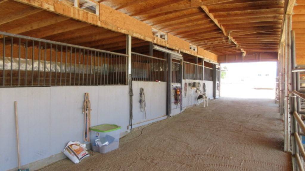 Horse Breeder and Horse Boarders Wanted!!! Kingman, Mohave County
