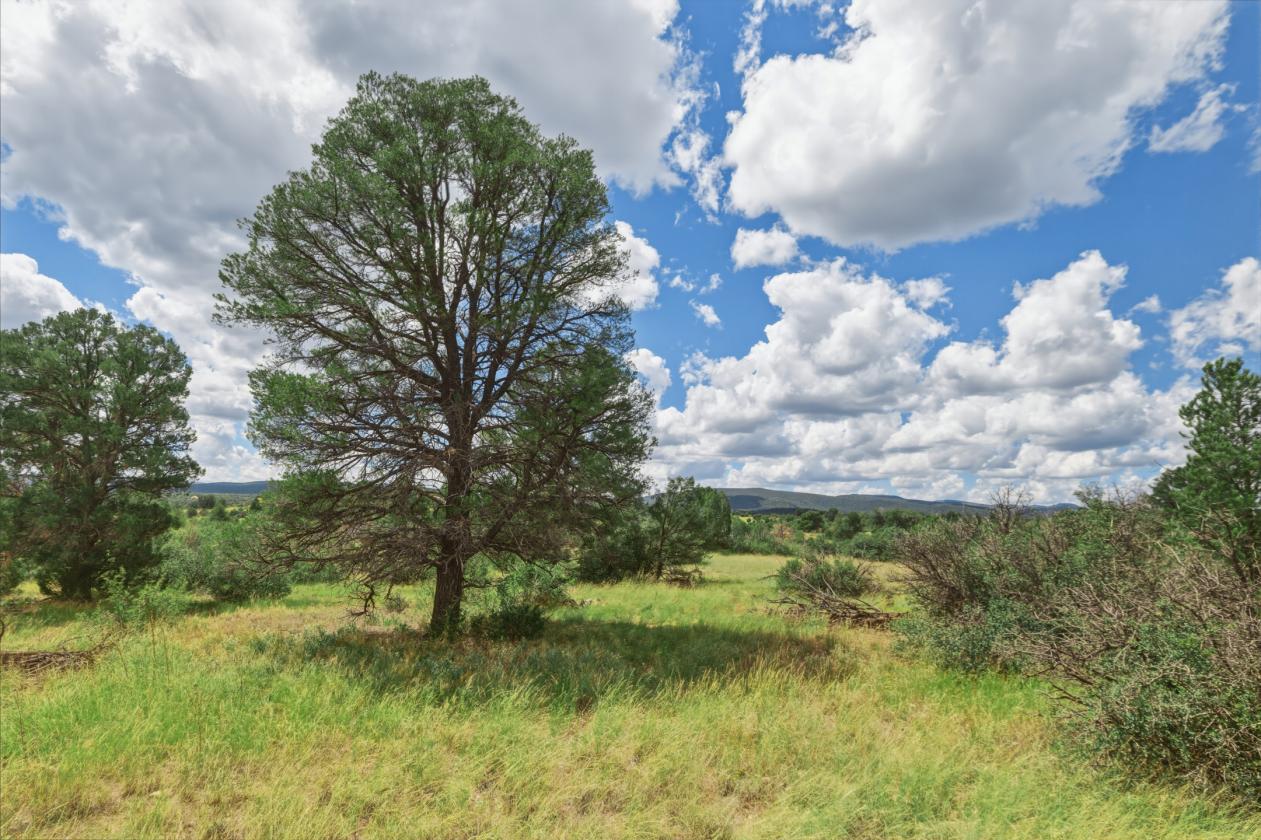 200 Acres in Yavapai County - photo 18