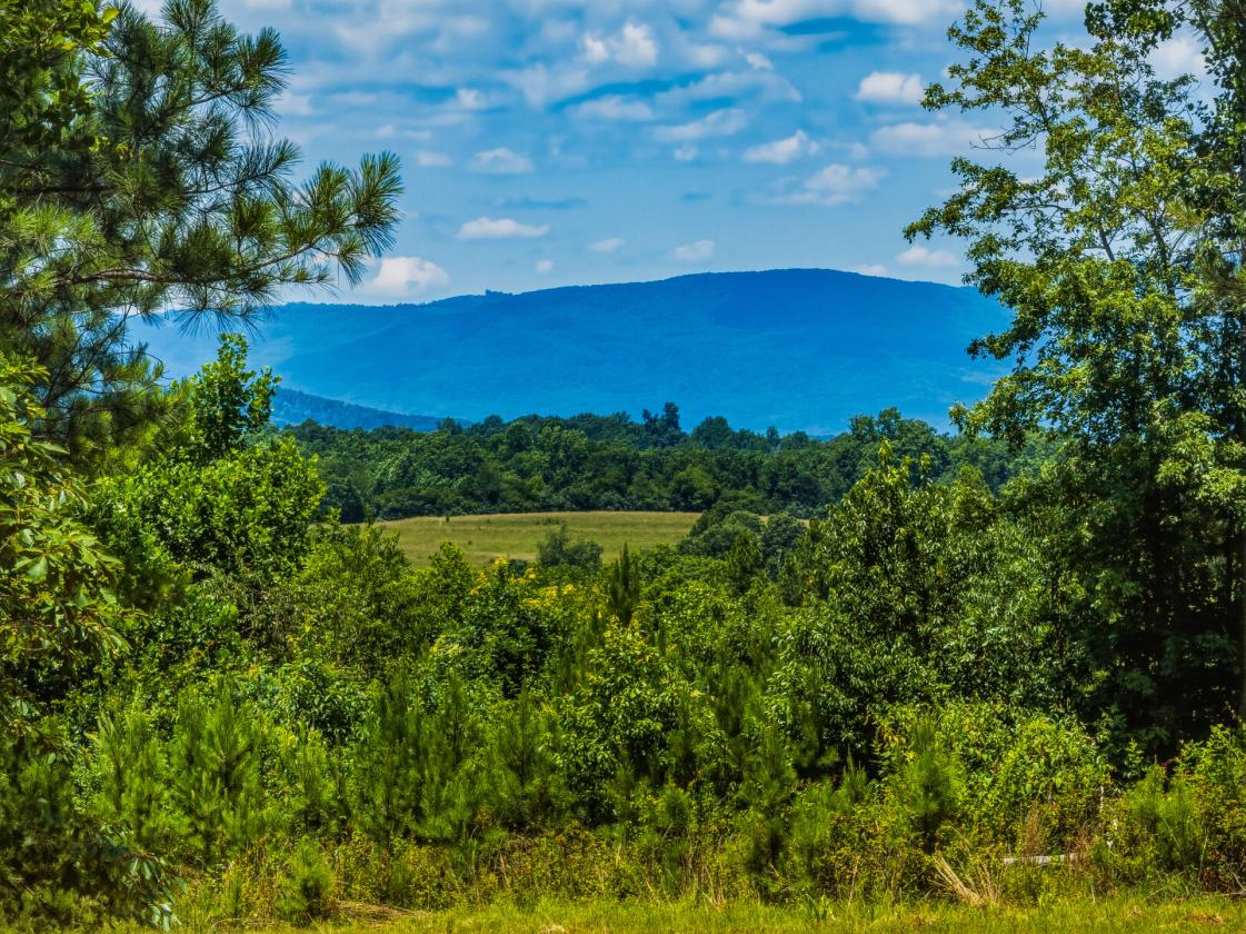 Loblolly Farm Tryon - photo 12
