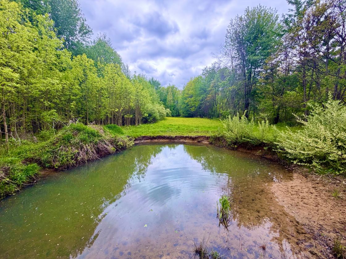 60Acres Equestrian Land with Scenic Trails - photo 3