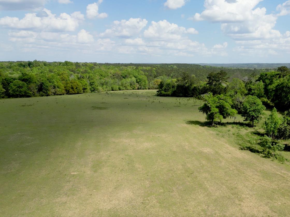 320 prime acres on HIckory Hill, Washington County - photo 15