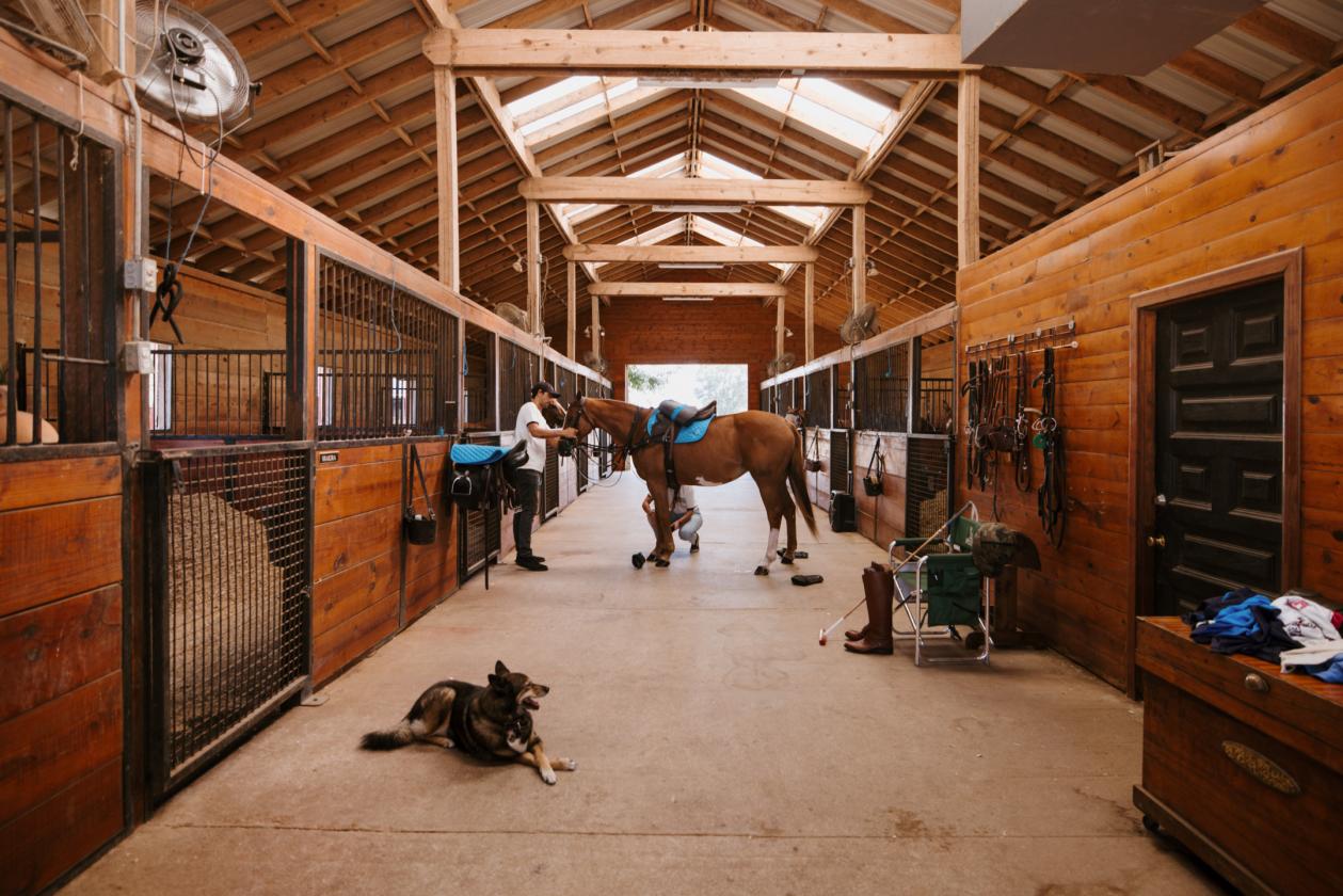 Mayer Ranch Equestrian 52+ AC in Denton County - photo 1