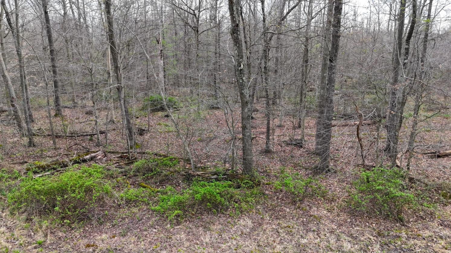 Excellent Acreage For Future Equestrian Property - photo 8