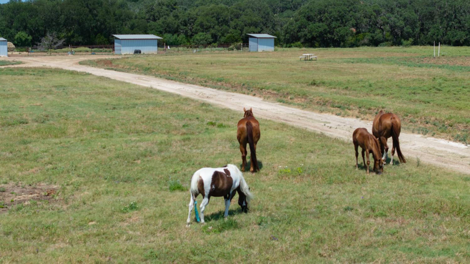 98± Acre Farm & Ranch North of San Antonio - photo 24