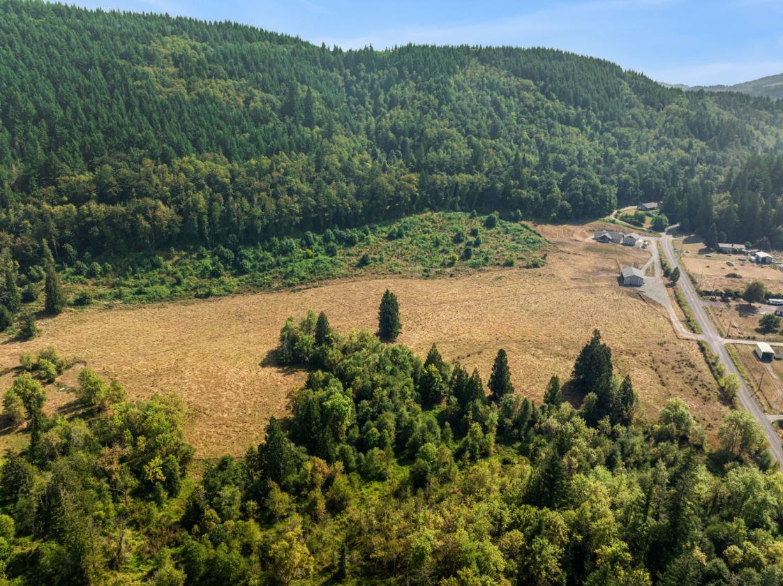 33.59 Acres with Barn, Shop & Mt. St. Helens Views - photo 12