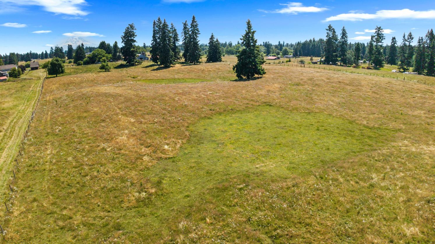 13.35 Acre Working Farm in Yelm, WA! - photo 8