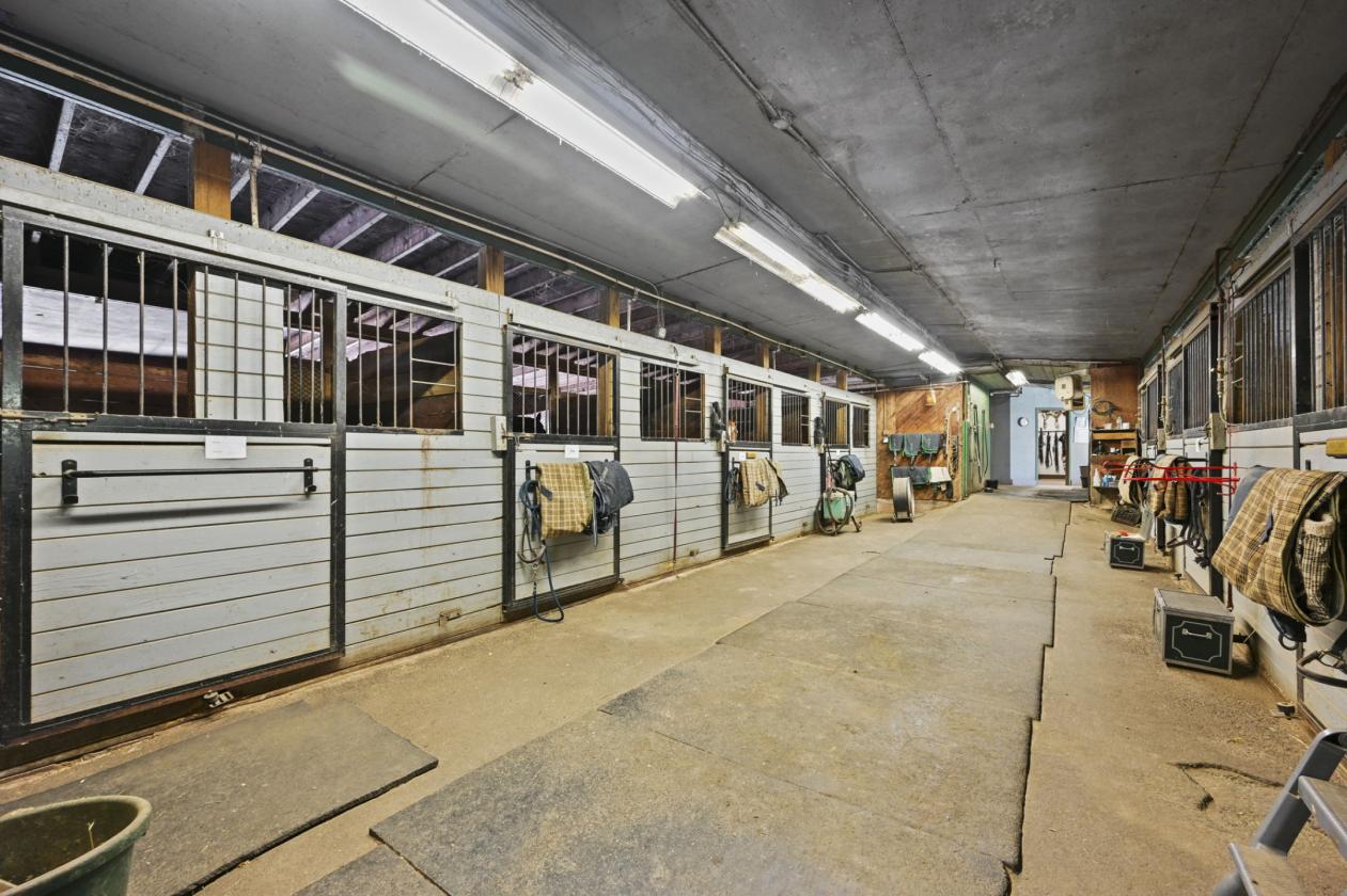 Silvermine Farm on 7 Acres Amazing Value - photo 20