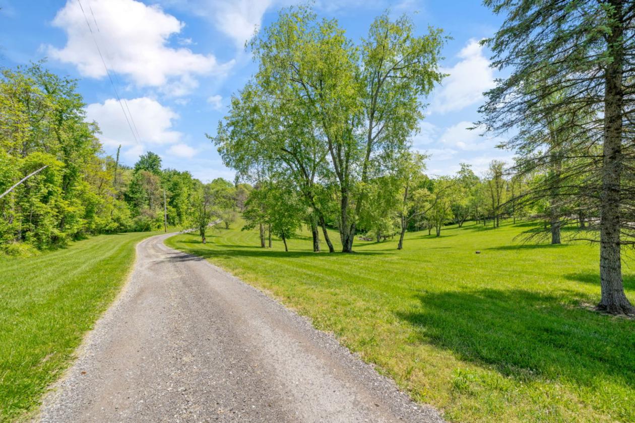 Future Equestrian Estate with Log Home - photo 8
