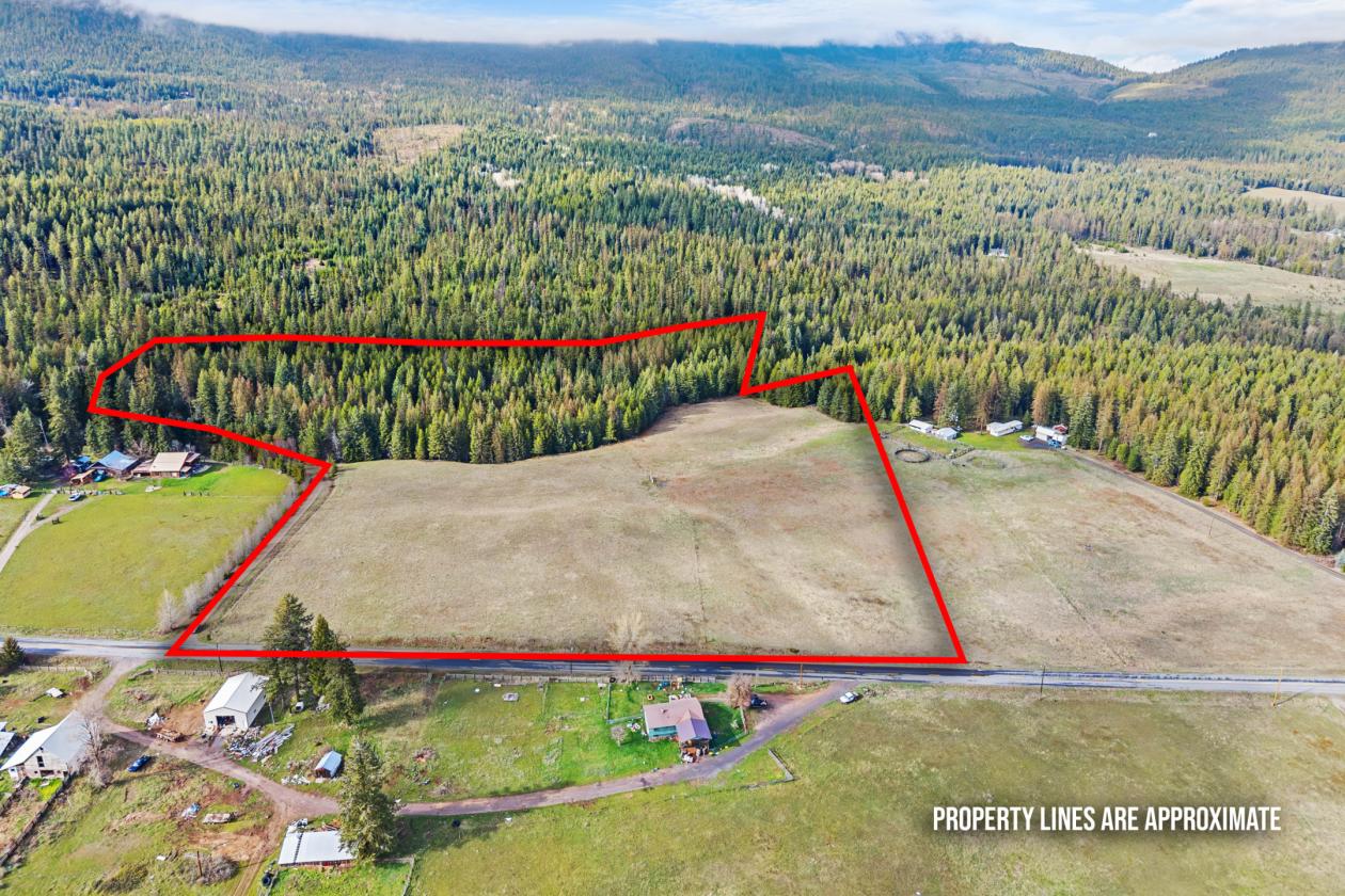 Level 20.65 acres w/Creek, Pasture & Woods - photo 4