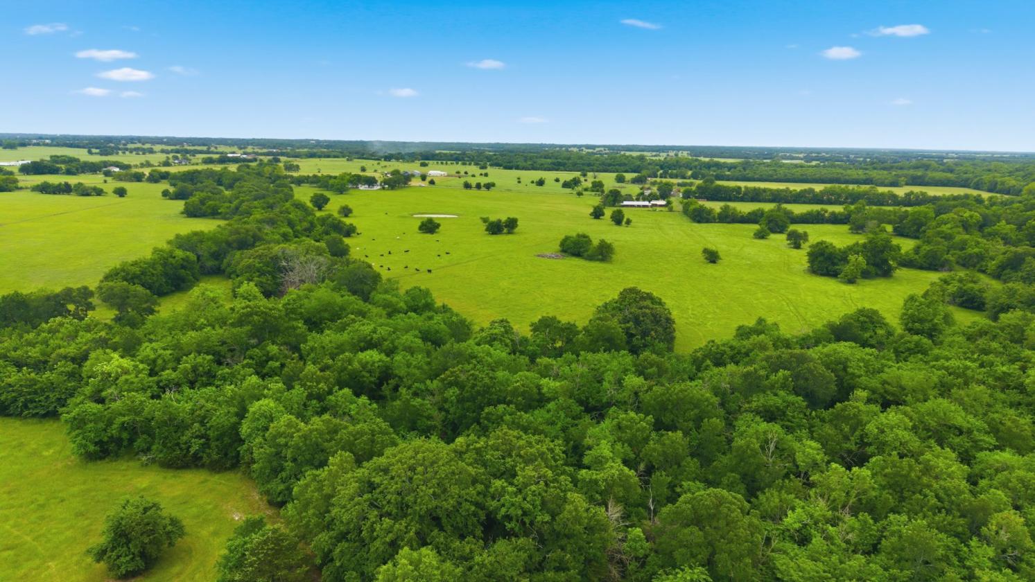 194 ACRE BREATHTAKING RANCH - photo 19