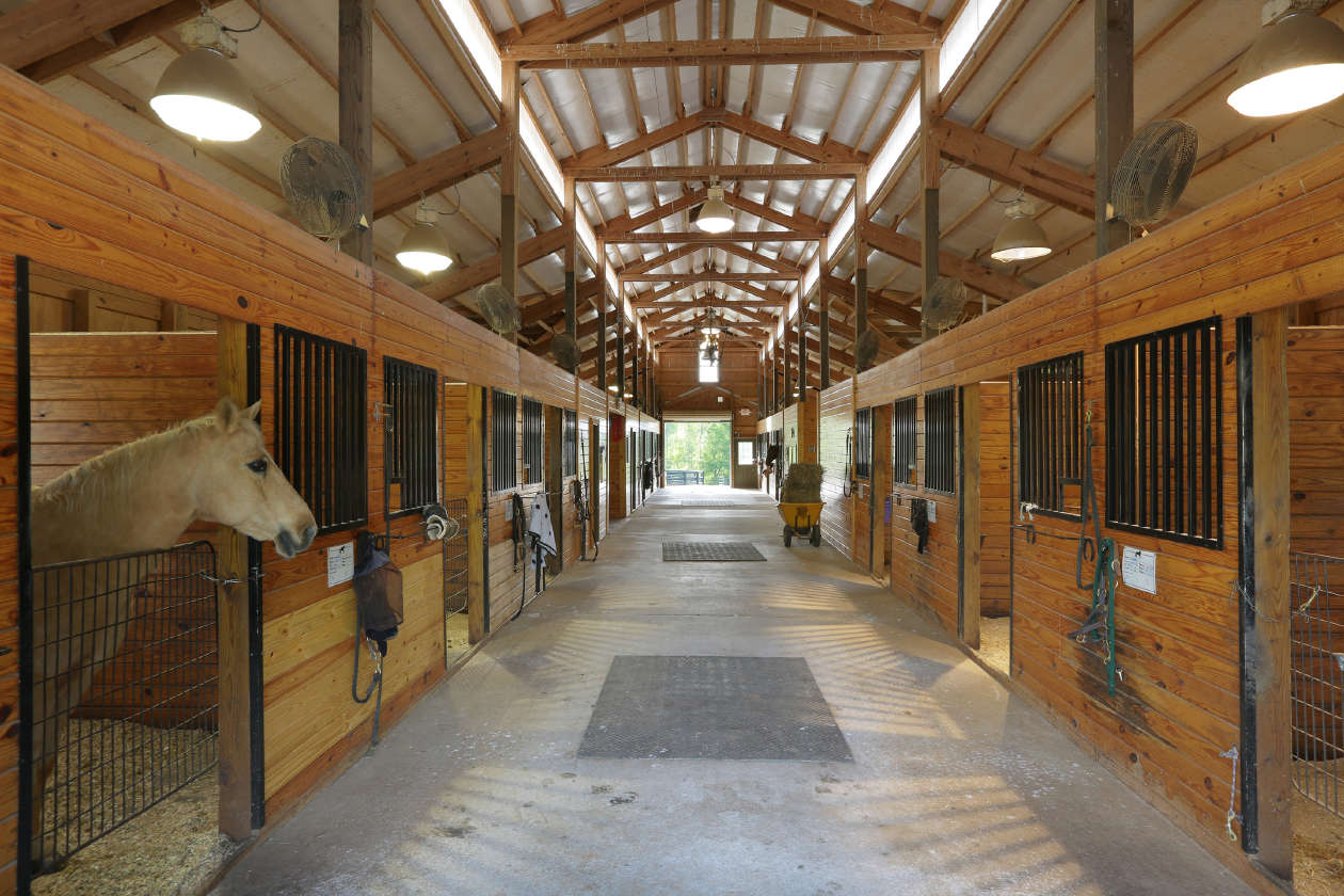 Luxurious Equestrain Country Manor Canton, Cherokee County, Horse Properties