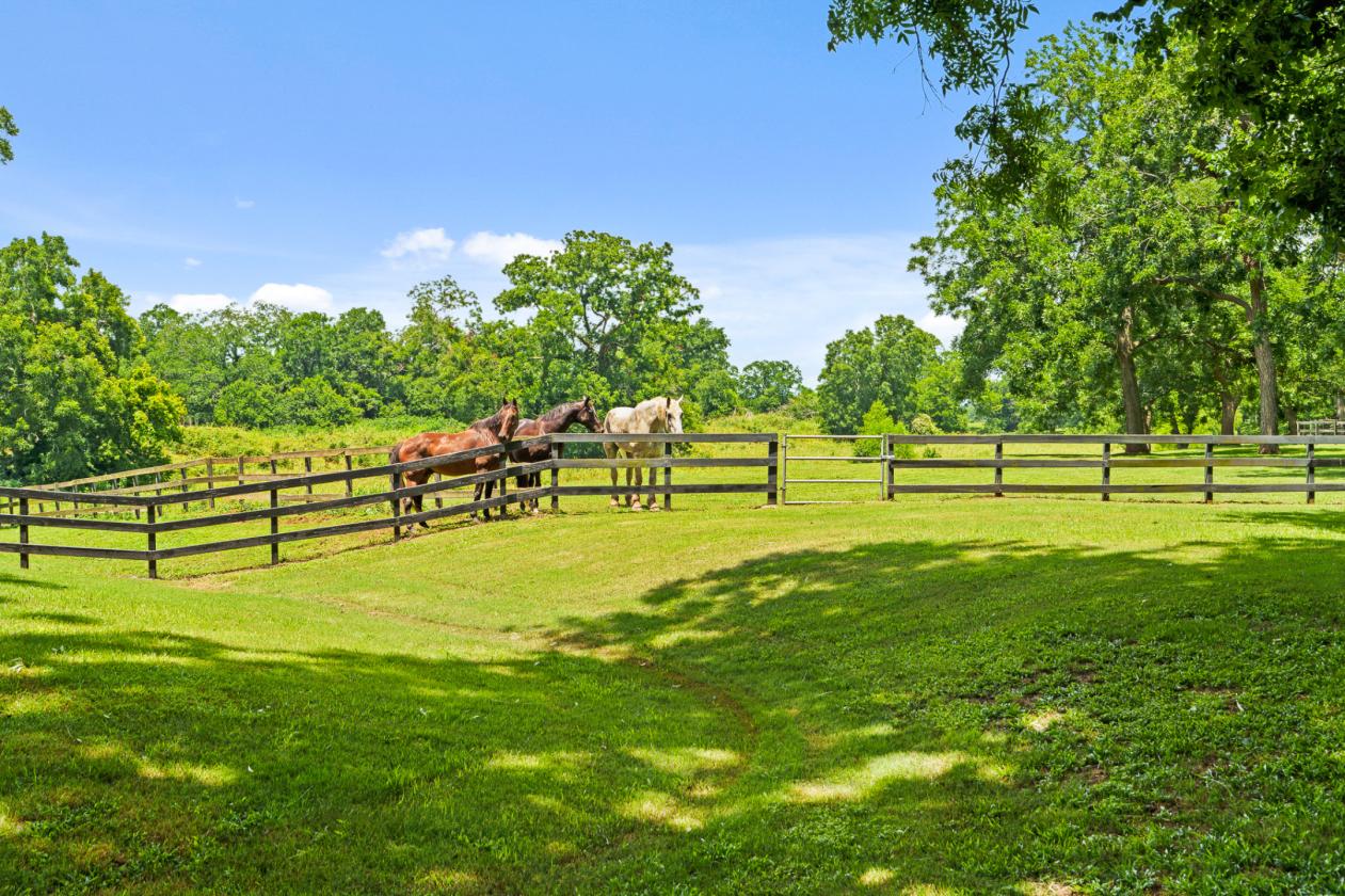 Extraordinary Estate on 7.8 Acres, 6-Stall Barn, & Dressage Arena - photo 7